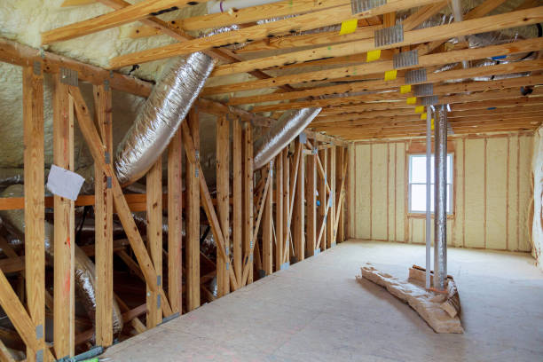 Best Insulation Removal  in Bad Axe, MI