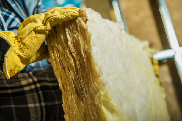 Best Home Insulation Services  in Bad Axe, MI