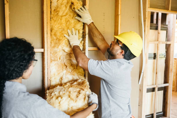 Best Attic Insulation Installation  in Bad Axe, MI