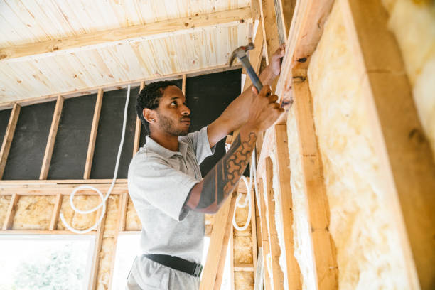 Best Insulation for New Construction  in Bad Axe, MI
