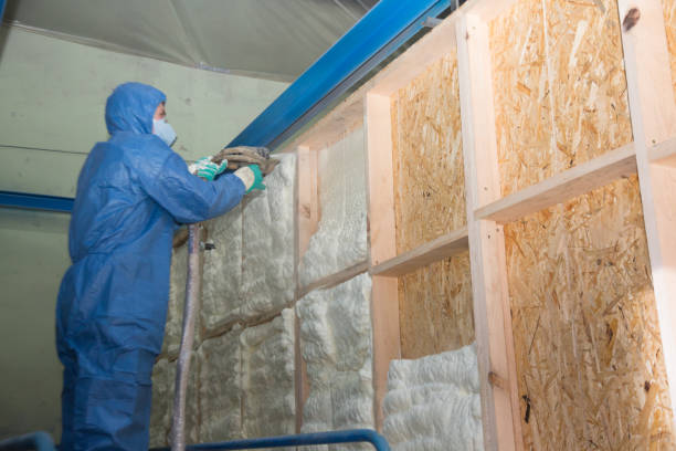Insulation Inspection Services in Bad Axe, MI