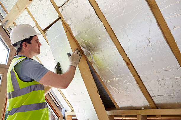 Best Insulation Replacement Services  in Bad Axe, MI