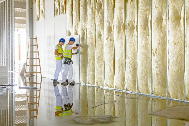 Best Fiberglass Insulation  in Bad Axe, MI